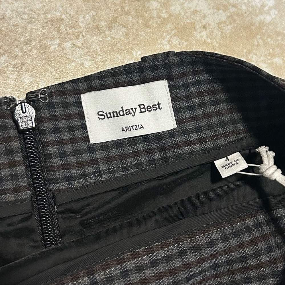 Aritzia pleated mini skirt - Picture 3 of 4
